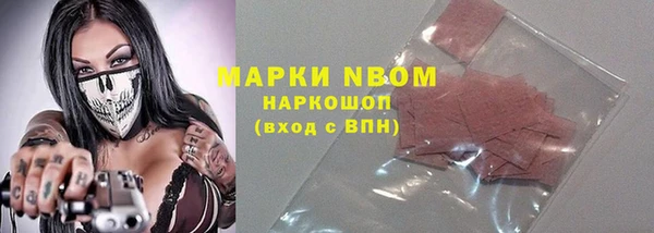 амф Гусь-Хрустальный
