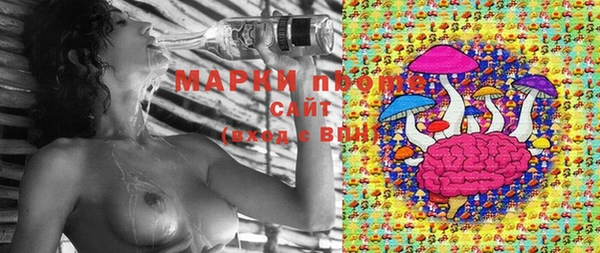 амф Гусь-Хрустальный