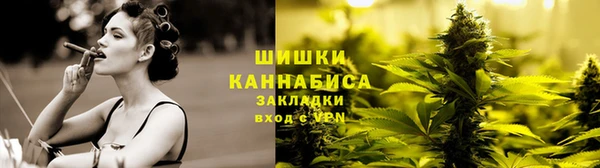 винт Гусев