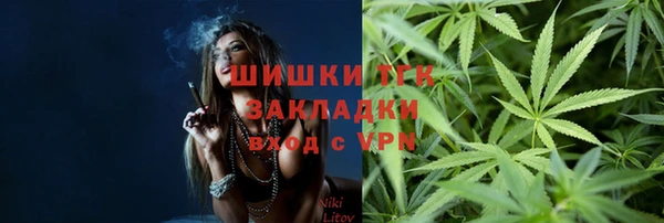 амф Гусь-Хрустальный