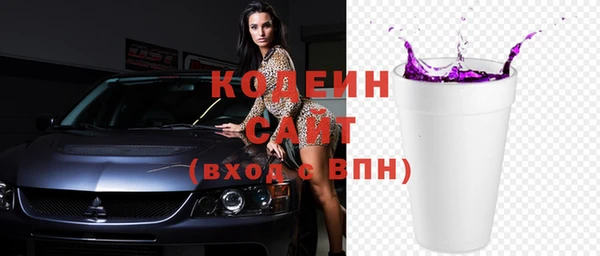 амф Гусь-Хрустальный