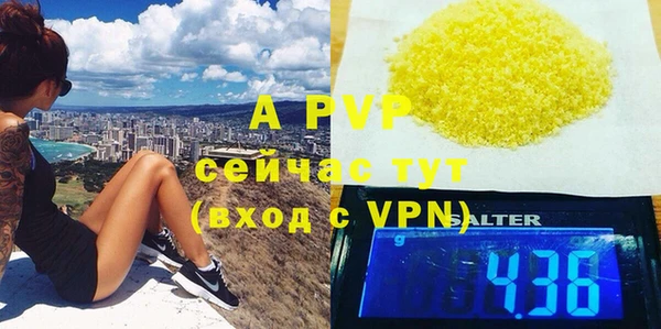 амф Гусь-Хрустальный