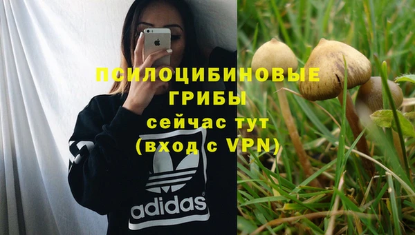 винт Гусев