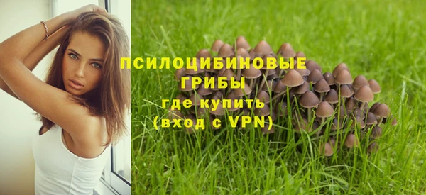 гашик Гусиноозёрск